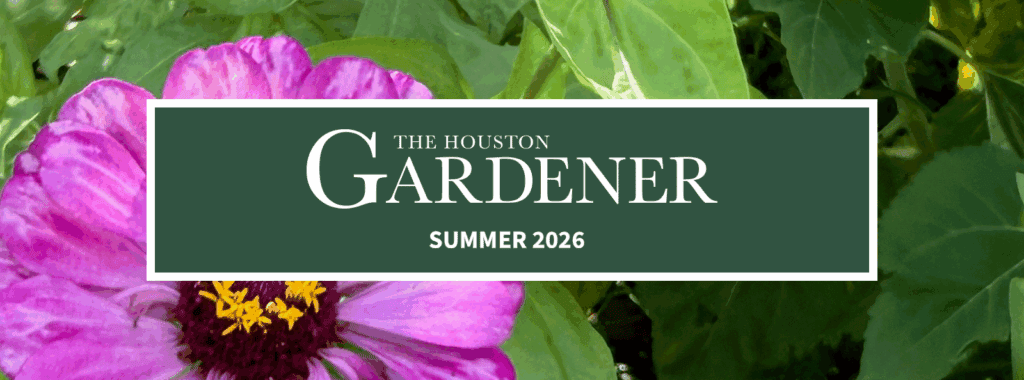Newsletter Blog Header Template Summer 2026
