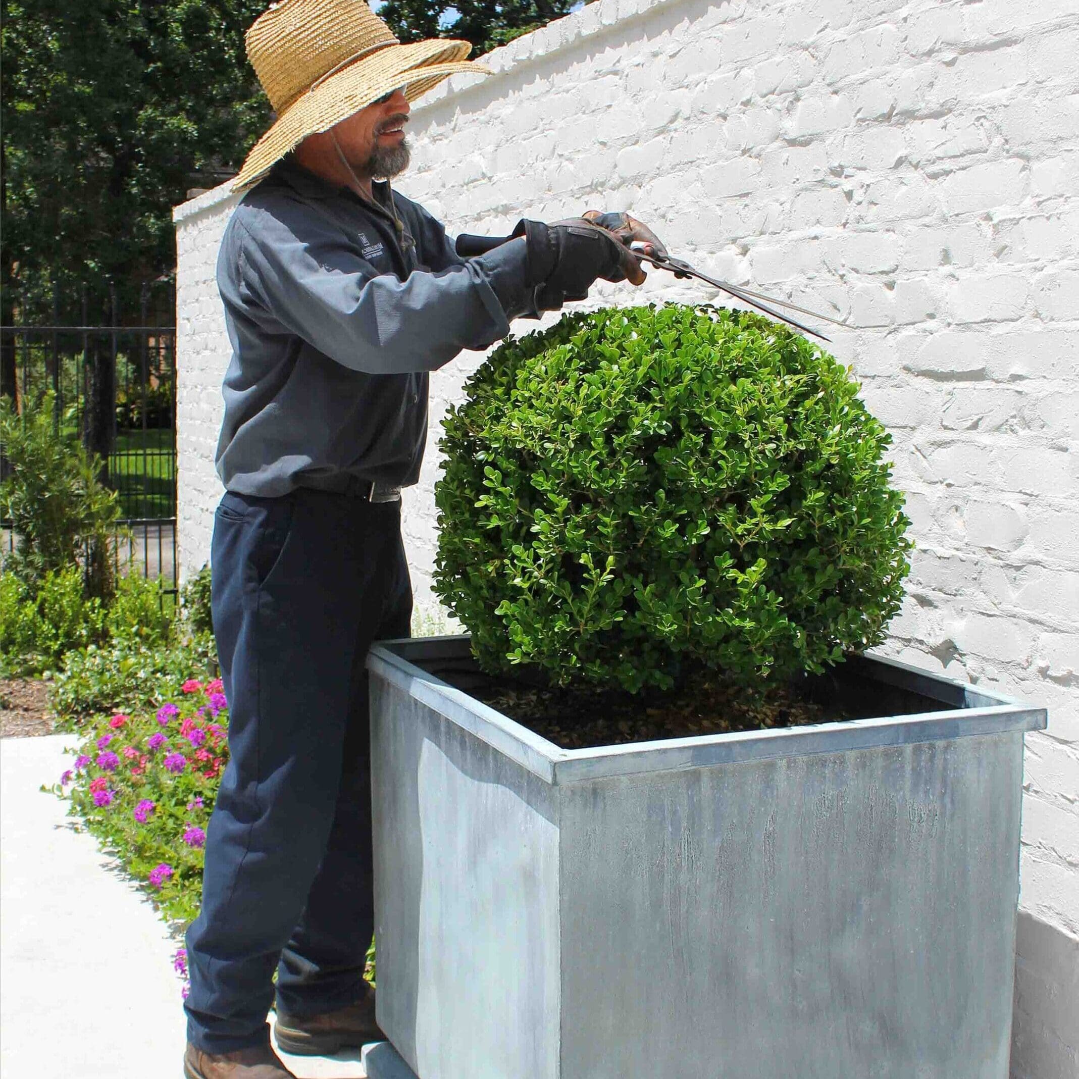 Landscape Maintenance Company in Houston, TX